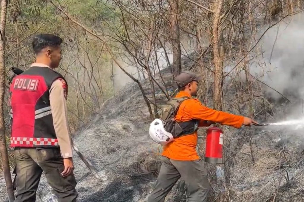 Hampir 1.000 Hektare Terbakar, Gunung Sumbing Hadapi Risiko Banjir