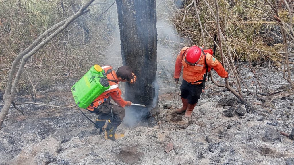Titik Api Gunung Ciremai Menurun, Pemadaman Karhutla Masih Berlanjut