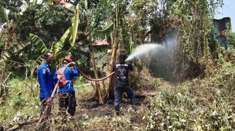 Damkarmat Bone Tangani Kebakaran Lahan, Warga Diminta Waspada