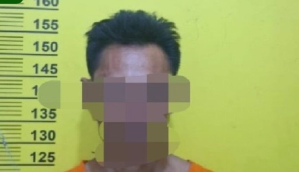 Diduga Cabuli Bocah, Pria di Rohil Dibekuk Polisi