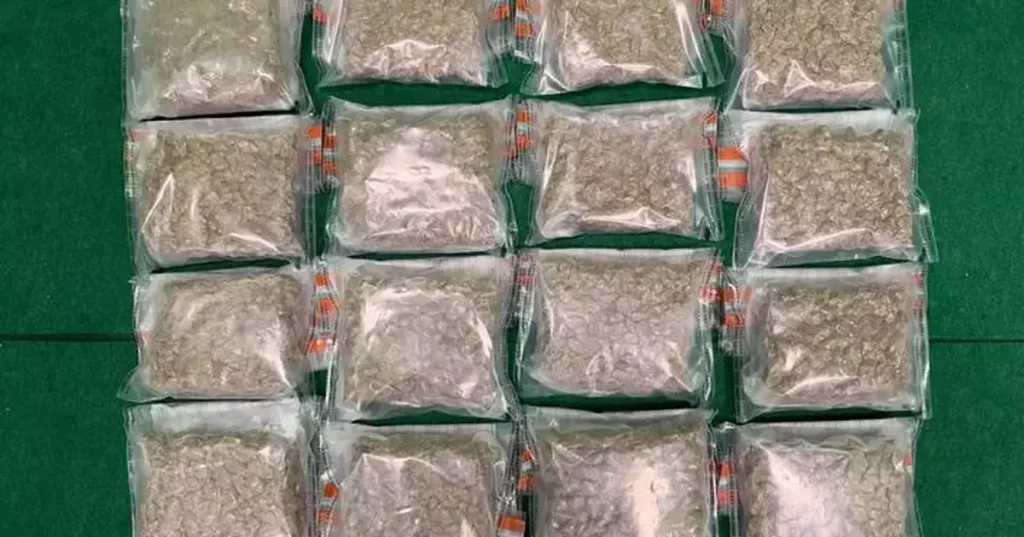 Bea Cukai Hong Kong Sita 9,8 Kg Ganja, Dua Penumpang Didakwa